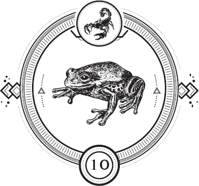 Иллюстрация к книге — Пандемониум. Орден Огненного Дракона [i_012.jpg]