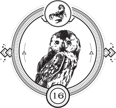 Иллюстрация к книге — Пандемониум. Орден Огненного Дракона [i_018.jpg]