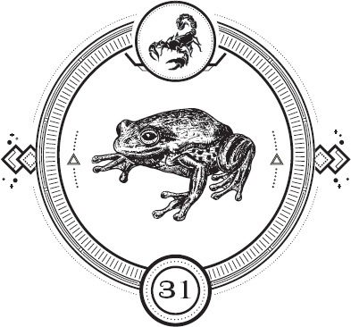 Иллюстрация к книге — Пандемониум. Орден Огненного Дракона [i_033.jpg]