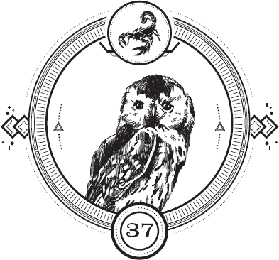 Иллюстрация к книге — Пандемониум. Орден Огненного Дракона [i_039.jpg]