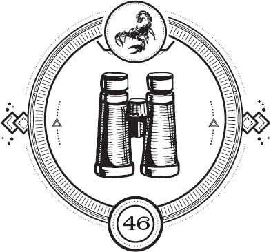 Иллюстрация к книге — Пандемониум. Орден Огненного Дракона [i_048.jpg]
