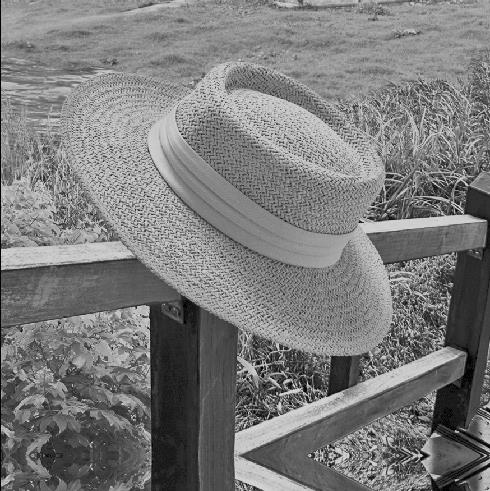 Иллюстрация к книге — Чужой выбор [i_001.jpg]