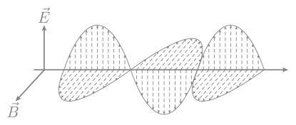 Иллюстрация к книге — Уравнение Бога. В поисках теории всего [i_004.jpg]
