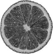 Иллюстрация к книге — Лжецы. Как врачи обманываются сами и невольно обманывают пациентов [i_002.jpg]