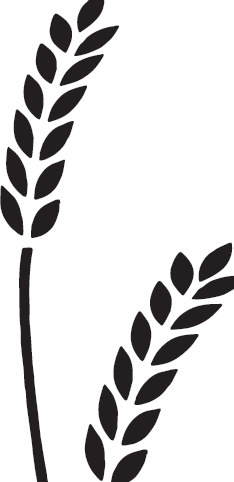 Иллюстрация к книге — Лжецы. Как врачи обманываются сами и невольно обманывают пациентов [i_033.jpg]