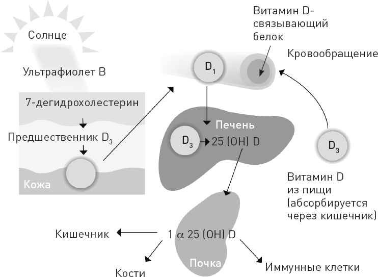 Иллюстрация к книге — Лжецы. Как врачи обманываются сами и невольно обманывают пациентов [i_075.jpg]