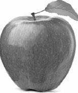 Иллюстрация к книге — Лжецы. Как врачи обманываются сами и невольно обманывают пациентов [i_087.jpg]