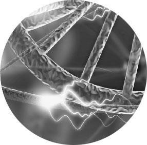 Иллюстрация к книге — Лжецы. Как врачи обманываются сами и невольно обманывают пациентов [i_108.jpg]