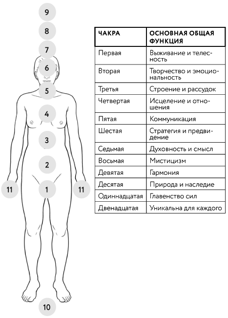 Иллюстрация к книге — Тонкие энергии для исцеления психологических травм, стресса и хронических заболеваний [i_002.jpg]