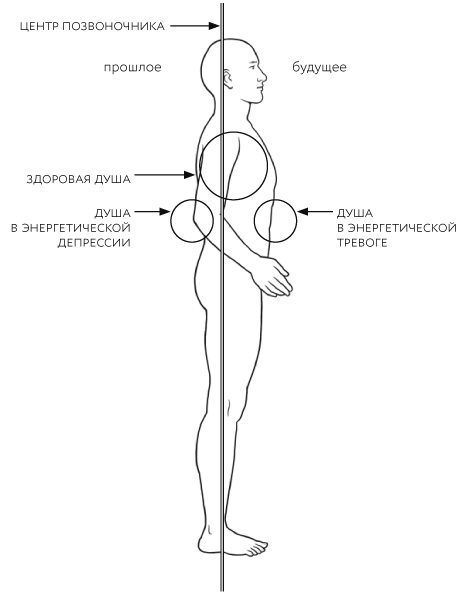 Иллюстрация к книге — Тонкие энергии для исцеления психологических травм, стресса и хронических заболеваний [i_016.jpg]