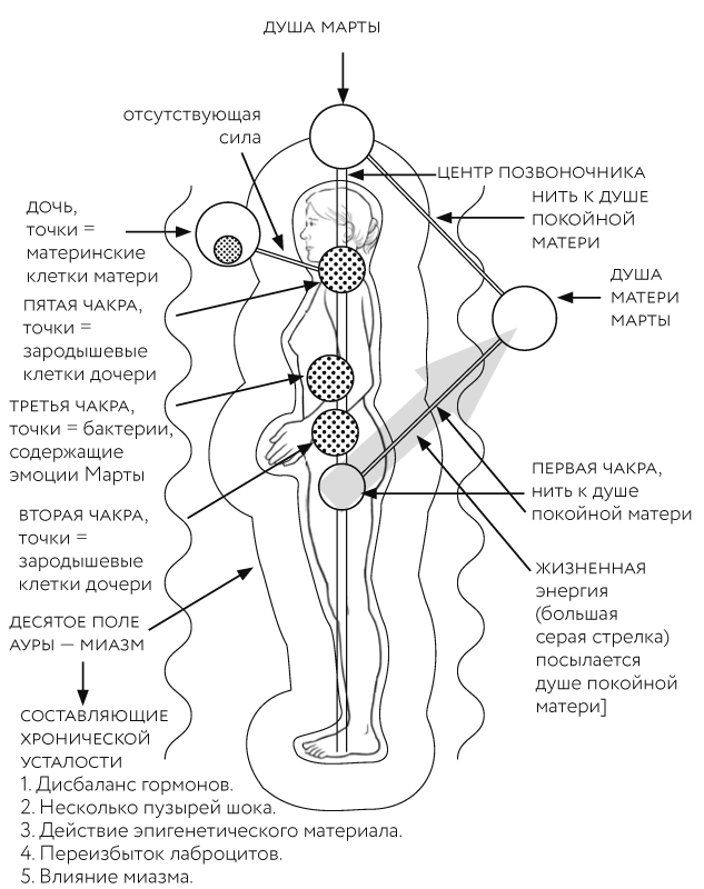 Иллюстрация к книге — Тонкие энергии для исцеления психологических травм, стресса и хронических заболеваний [i_026.jpg]