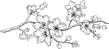 Иллюстрация к книге — Король: Вечный монарх. Зов судьбы [i_005.jpg]