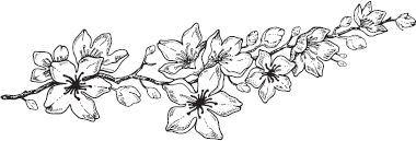 Иллюстрация к книге — Король: Вечный монарх. Зов судьбы [i_008.jpg]