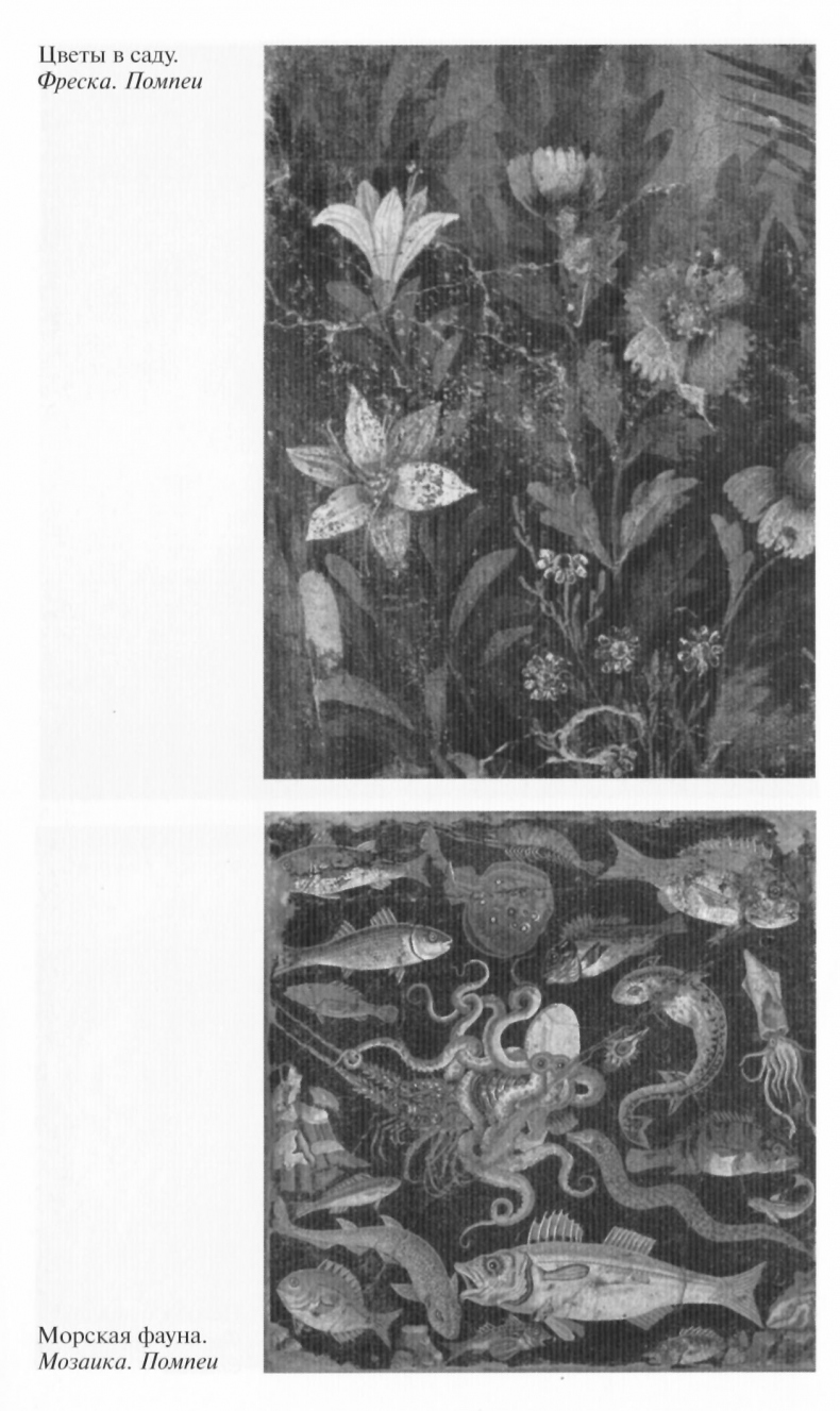 Иллюстрация к книге — Вергилий [ris_11.jpg]