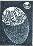 Иллюстрация к книге — Семь космических камней [img237b.jpg]