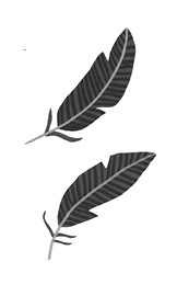 Иллюстрация к книге — Дом с сотней часов [i_007.jpg]