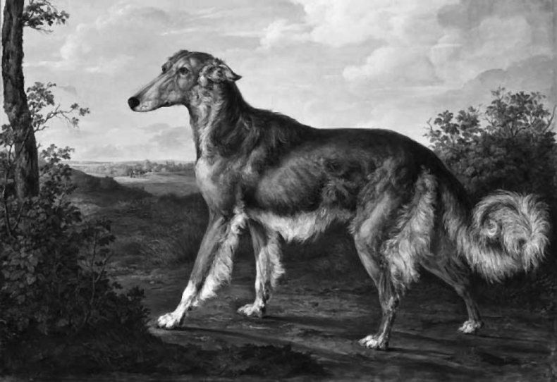 Иллюстрация к книге — Русский в Англии: Самоучитель по беллетристике [i_038.jpg]