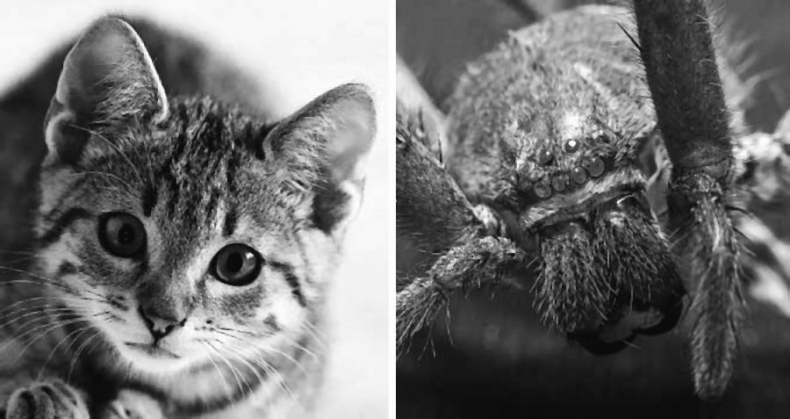 Иллюстрация к книге — Русский в Англии: Самоучитель по беллетристике [i_098.jpg]