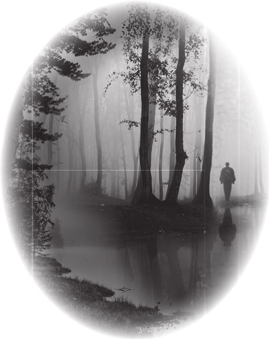 Иллюстрация к книге — Нэнси Дрю и зловещие совпадения [i_001.jpg]