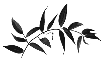 Иллюстрация к книге — Железный рыцарь [i_002.jpg]