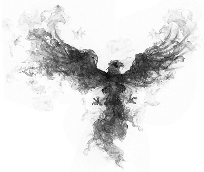 Иллюстрация к книге — Феникс [i_001.jpg]