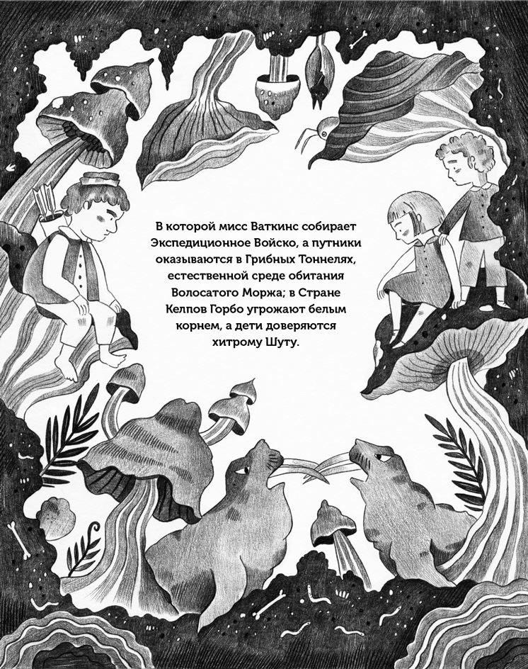 Иллюстрация к книге — Изумительная Страна Снергов [i_026.jpg]