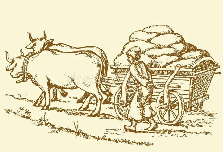 Иллюстрация к книге — Сержио [i_019.jpg]