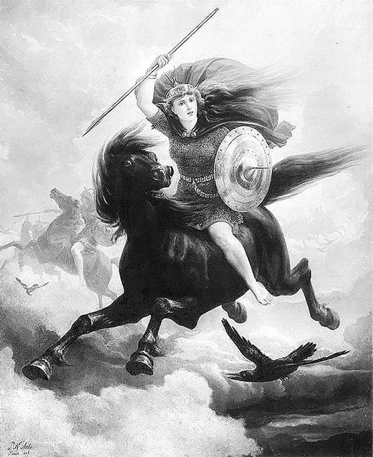 Иллюстрация к книге — Викинги. Полная история [i_007.jpg]