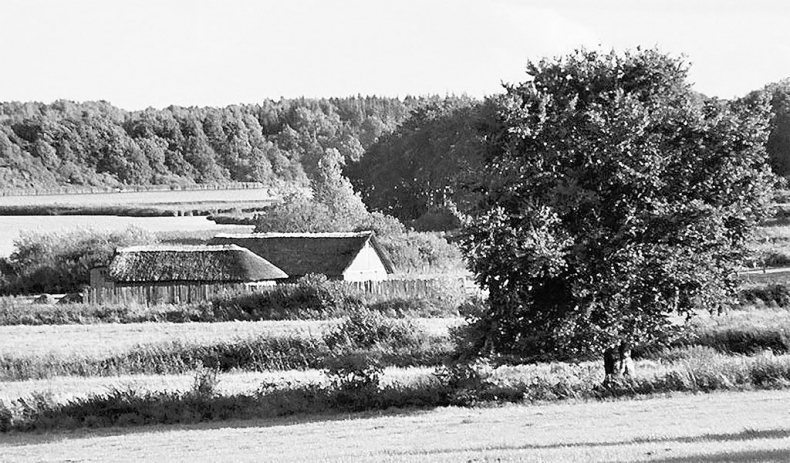 Иллюстрация к книге — Викинги. Полная история [i_015.jpg]