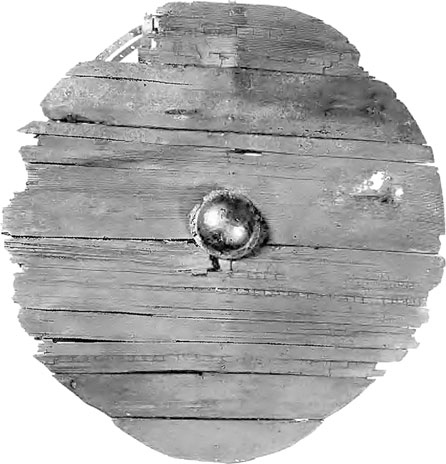 Иллюстрация к книге — Викинги. Полная история [i_026.jpg]