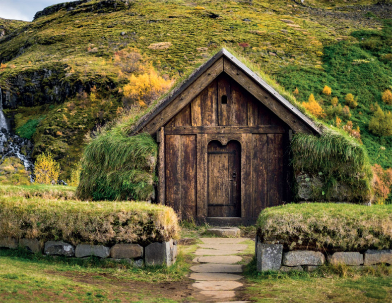 Иллюстрация к книге — Викинги. Полная история [i_124.jpg]