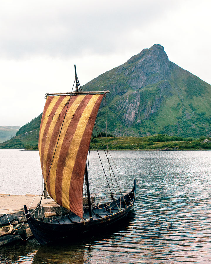 Иллюстрация к книге — Викинги. Полная история [i_128.jpg]