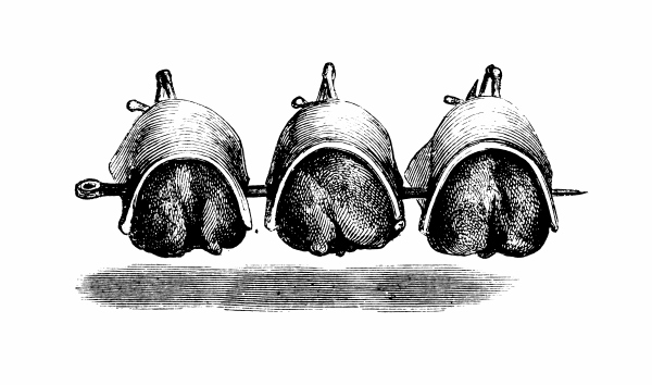 Иллюстрация к книге — Физиология вкуса [i_025.jpg]