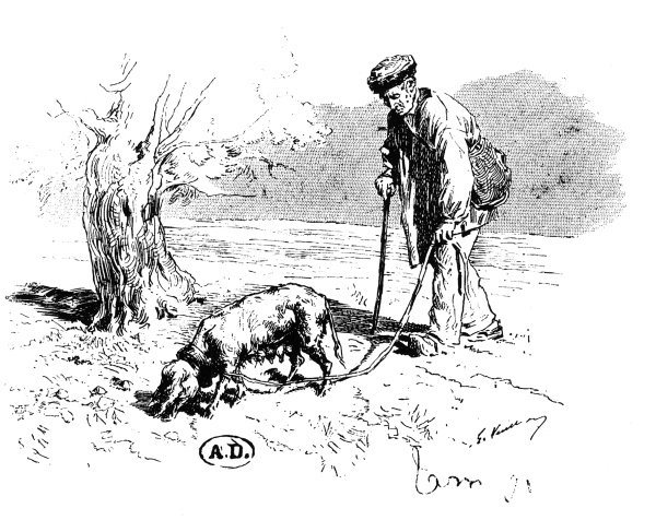 Иллюстрация к книге — Физиология вкуса [i_028.jpg]