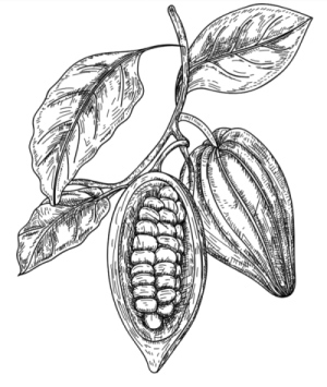 Иллюстрация к книге — Физиология вкуса [i_034.jpg]