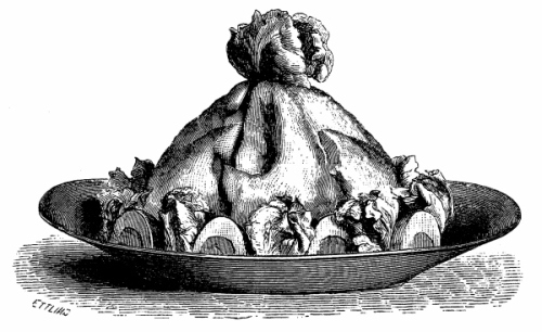 Иллюстрация к книге — Физиология вкуса [i_052.jpg]