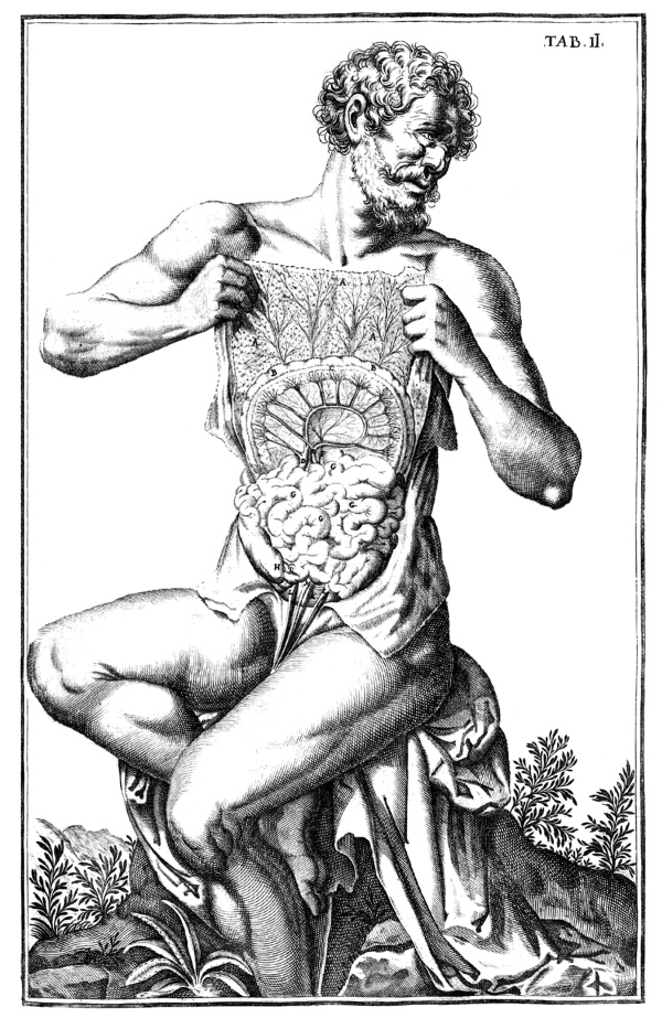 Иллюстрация к книге — Физиология вкуса [i_062.jpg]