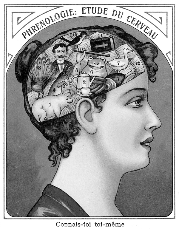 Иллюстрация к книге — Физиология вкуса [i_063.jpg]