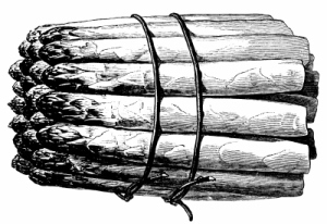 Иллюстрация к книге — Физиология вкуса [i_088.jpg]