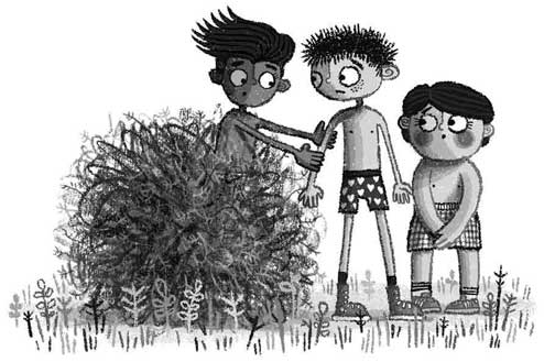 Иллюстрация к книге — Безумные каникулы Фредди [i_011.jpg]