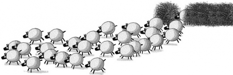 Иллюстрация к книге — Безумные каникулы Фредди [i_019.jpg]