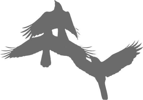 Иллюстрация к книге — Ночной ворон [i_001.jpg]