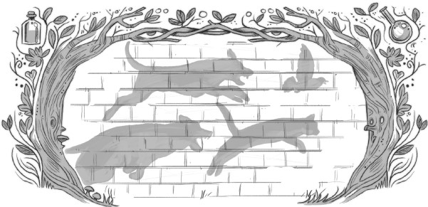 Иллюстрация к книге — Волшебный портал [i_028.jpg]