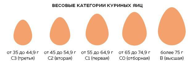 Иллюстрация к книге — Праздник каждый день. Когда в дом приходит счастье [i_004.jpg]