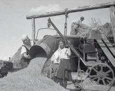 Иллюстрация к книге — Повседневная жизнь советского крестьянства периода позднего сталинизма.1945–1953 гг. [i_002.jpg]