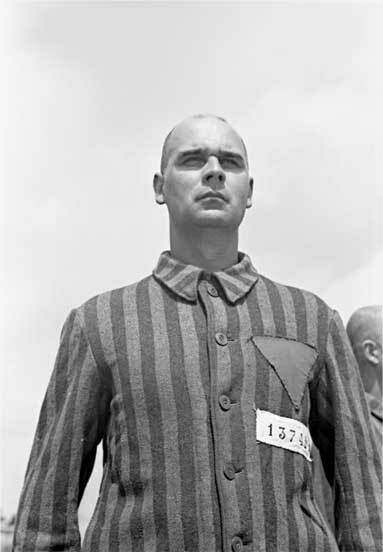 Иллюстрация к книге — Гитлер и Габсбурги. Месть фюрера правящему дому Австрии [i_001.jpg]