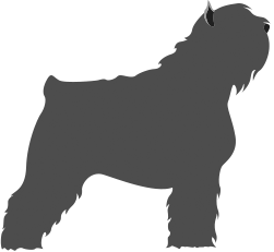 Иллюстрация к книге — Когда я закрываю глаза [i_001.jpg]