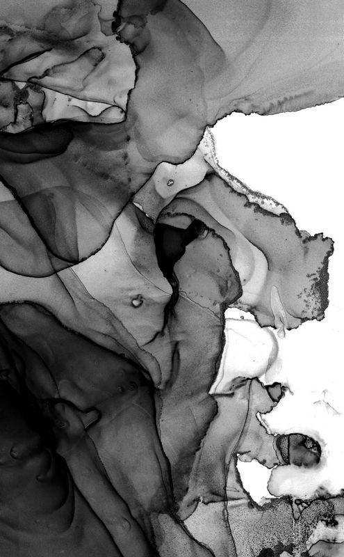 Иллюстрация к книге — Молчание костей [i_002.jpg]