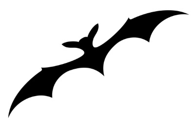 Иллюстрация к книге — Жуть вампирская [i_002.jpg]