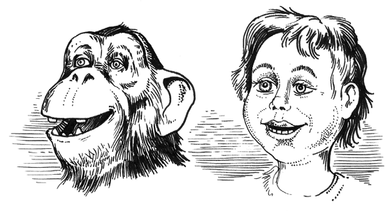 Иллюстрация к книге — Психология на пальцах [i_017.jpg]